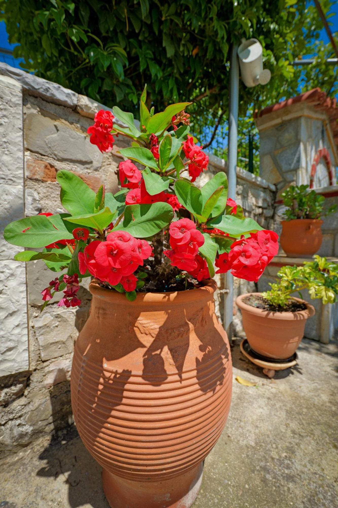Hotel Shena The Farm Boutique Mesopotam Zewnętrze zdjęcie